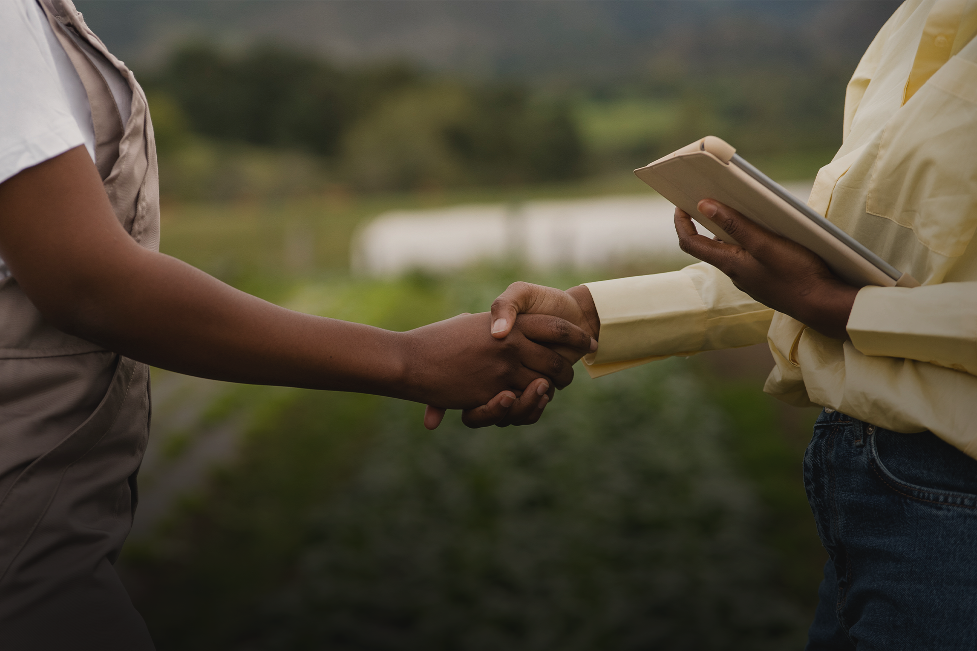 Escassez de mão de obra no agro e possíveis soluções